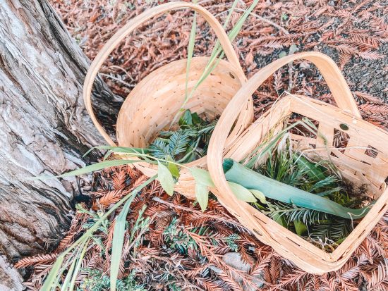 Grasses in kids baskets by a tree