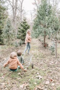 Mom pulling kids through tree farm