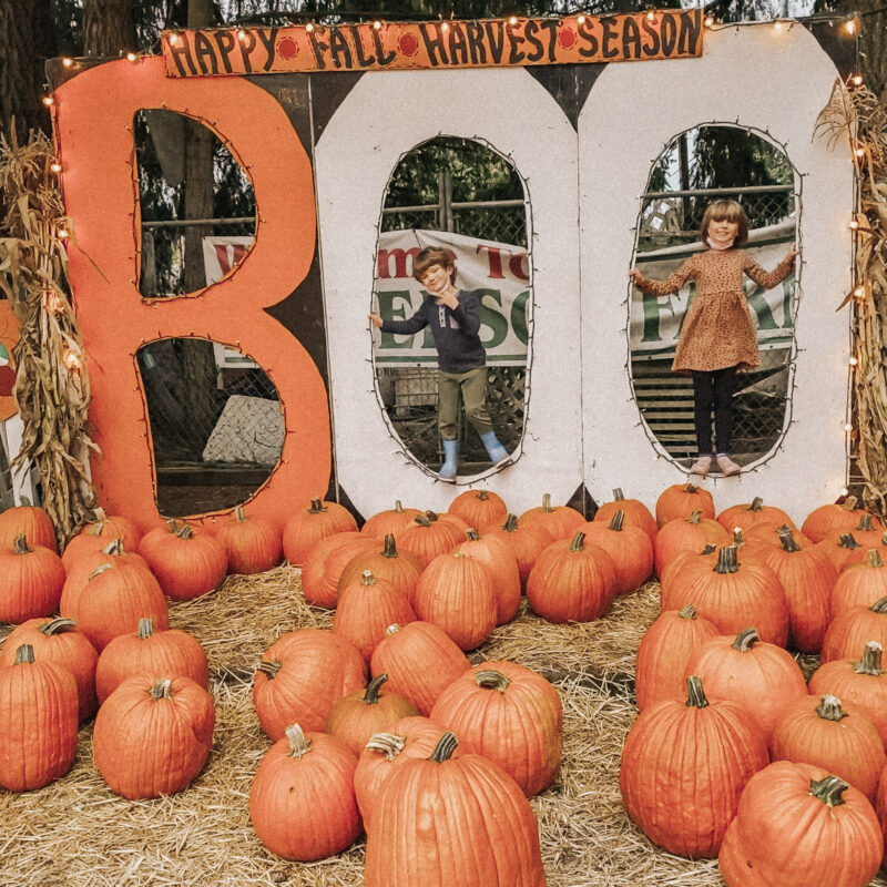 Kids at the pumpkin patch with handpainted BOO signs