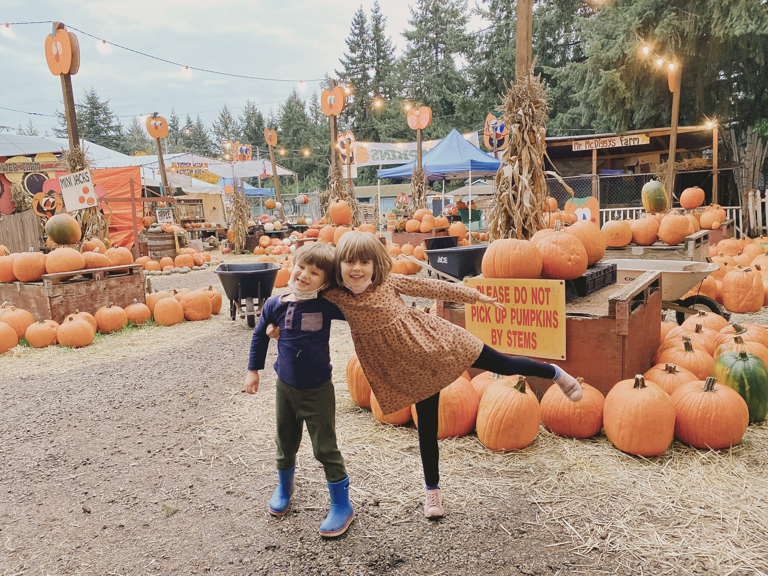 Patterson's Farm Market, Gig Harbor Two In Tow & On The Go