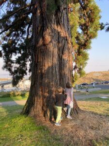 kids and tree