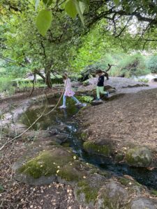 kids, creek, forest