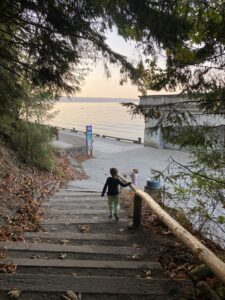 forest, boy, stairs