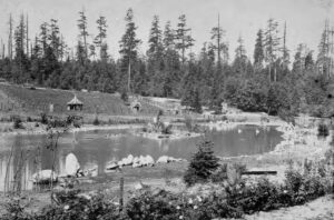 black and white image of a lake and trees