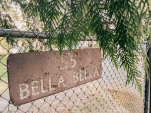 wood sign