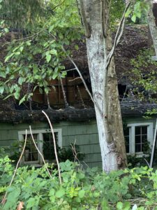 green house with caved in roof
