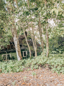 green house with caved in roof