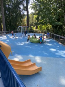 park with blue ground and trees surrounding