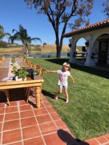 green grass courtyard