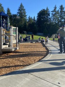 wood chips and sidewalk at park