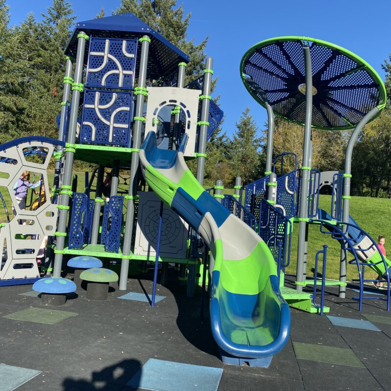 blue and green slide and climber